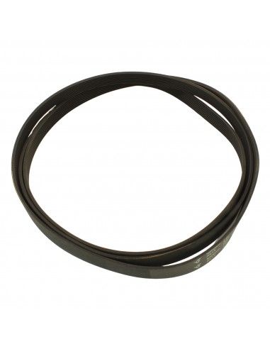 Dryer belt  POLY-V 1830 H8 ZANUSSI 1256062009