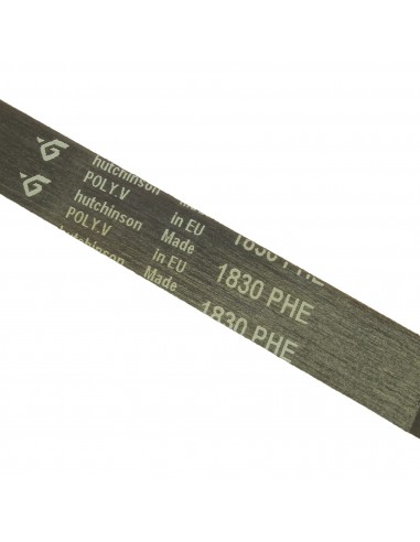 Dryer belt  POLY-V 1830 H8 ZANUSSI 1256062009