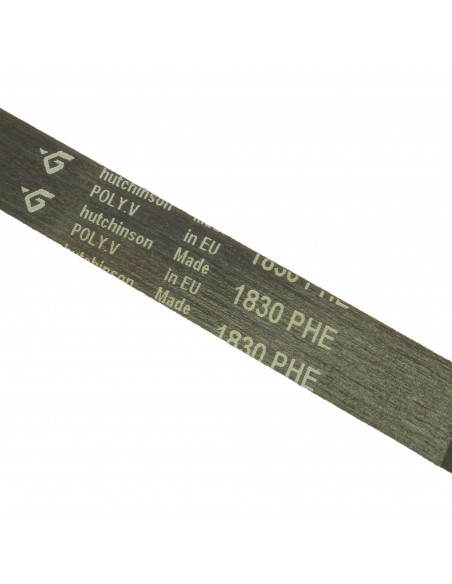 Dryer belt  POLY-V 1830 H8 ZANUSSI 1256062009