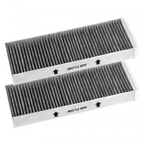 Kit 2Stk Geruchsfilter Abzugshaube BORA BAKFS - BAKF-001