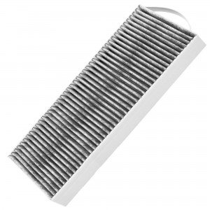 Hood odor filter BORA PUAKF