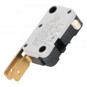 Microinterruttore Lavastoviglie Beko Whirlp.1731980300 ROLD IT