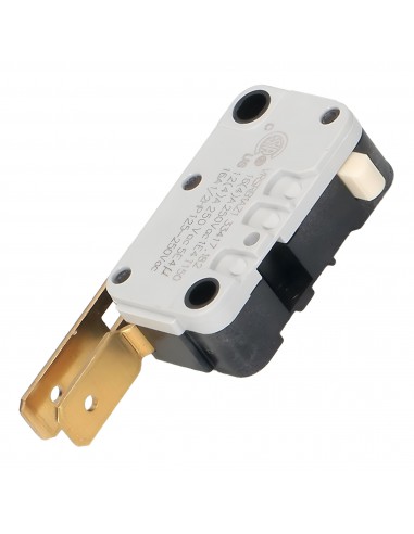 Microinterruttore Lavastoviglie Beko Whirlp.1731980300 ROLD IT
