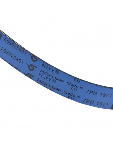 Cinghia Asciugatrice POLY-V 1971 H7 Electrolux 140056254018 OR