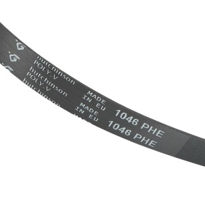 Cinghia Lavatrice POLY-V EL 1046 H8 Ariston C00074218 2