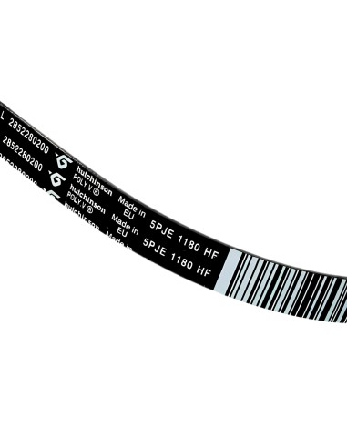 Cinghia Lavatrice POLY-V EL 1180 J5 Beko Bosch WHR 2466300202
