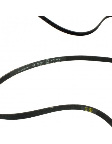 Correa secadora  POLY-V 1936 H6 WHIRLPOOL 481235818164