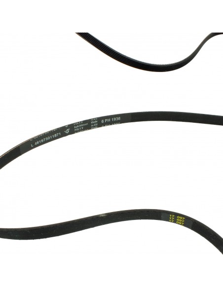 Dryer belt POLY-V 1936 H6 original WHIRLPOOL 4812358181 481235818164