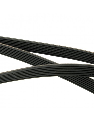 Keilrippenriemen Trockner POLY-V EL 1904 H7 ARISTON 4160016 Keilrippenriemen Trockner POLY-V EL 1904 H7 ARISTON 4160016