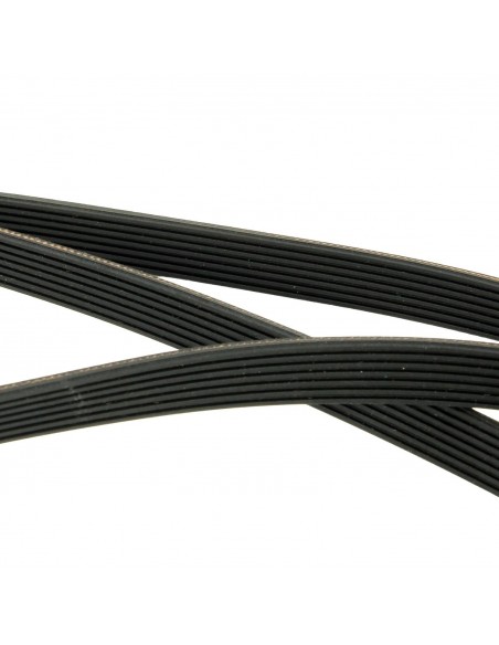 Dryer belt POLY-V EL 1904 H7 ARDO MERLONI ARISTON 4160 4160016