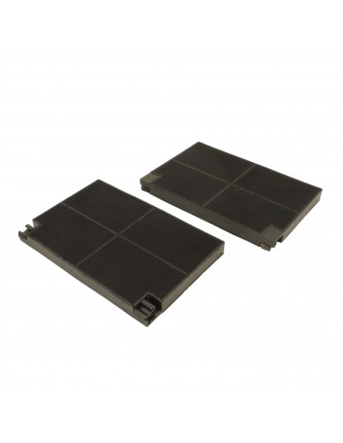 Kit 2pz Filtro carbone Cappa Electrolux 50232980008