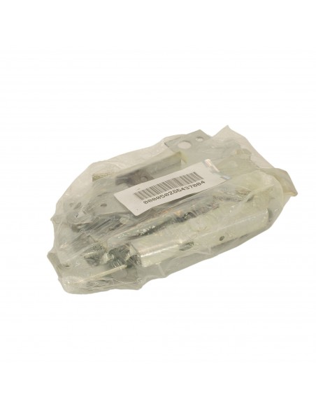 Kit cerniere porta Lavastoviglie Electrolux 50286437004