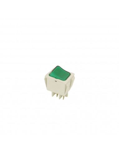 Small appliances bipolar green switch 250V 16A UNIVERSAL