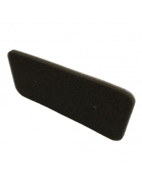 Filtro spugna Asciugatrice Candy 40006731