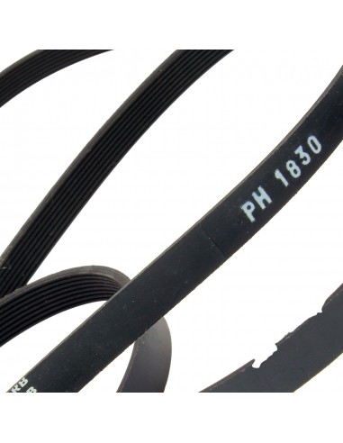 Dryer belt  POLY-V 1830 H8 ZANUSSI 1256062009 Dryer belt  POLY-V 1830 H8 ZANUSSI 1256062009