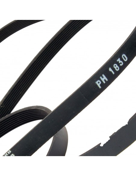 Dryer belt  POLY-V 1830 H8 ZANUSSI 1256062009