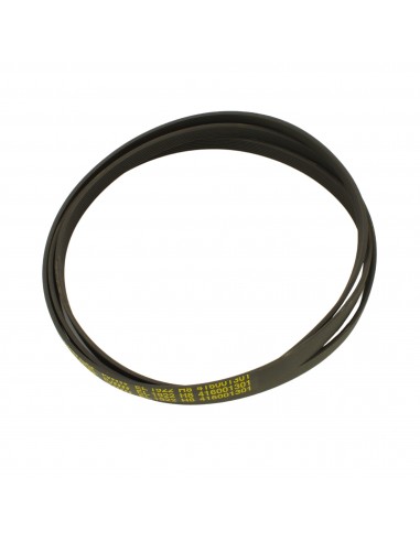 Dryer belt POLY-V 1922 H8 EL ARDO MERLONI 416001300