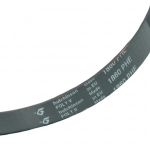 Dryer belt POLY-V EL 1860 H8 CANDY HOOVER 90446634 2