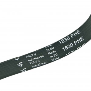 Dryer belt POLY-V  EL 1830 H8 ELECTROLUX ZANUSSI 1256062009 2