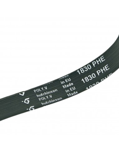 Dryer belt POLY-V  EL 1830 H8 ELECTROLUX ZANUSSI 1256062009 Dryer belt POLY-V  EL 1830 H8 ELECTROLUX ZANUSSI 1256062009