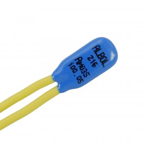 Thermosicherung Kaffeemaschinenpumpe 100° 2,5A 250V A.R.S. UNIV 2