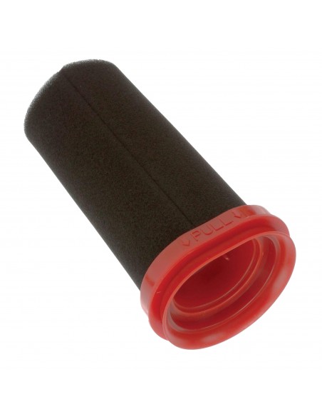 Filtro spugna Aspirapolvere Bosch 12026520