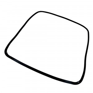 Guarnizione porta Forno Bosch 00095253 2