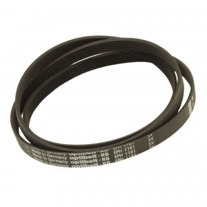 Cinghia Lavatrice POLY-V EL 1181 H7 Indesit C00059721