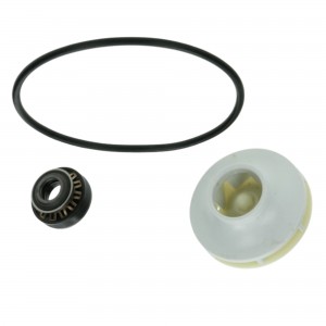 Kit tenuta pompa Lavastoviglie Bosch 00419027