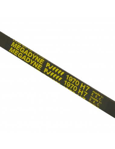Cinghia Asciugatrice POLY-V 1970 H7 Whirlpool 481235818051