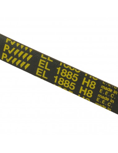 Dryer belt POLY-V EL 1885 H8 ARISTON INDESIT C00036195 Dryer belt POLY-V EL 1885 H8 ARISTON INDESIT C00036195