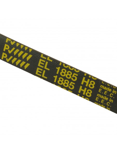 Keilrippenriemen Trockner POLY-V EL 1885 H8 ARISTON INDESIT C00036195