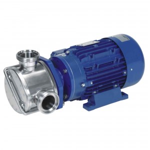 Coaxial electric pump LIVERANI sp 2Hp 900rpm EP MINOR 40