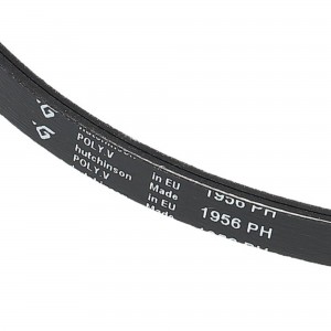 Dryer belt POLY-V 1956 H7 UNI. BAUKNECHT 481281718172 00126273 2