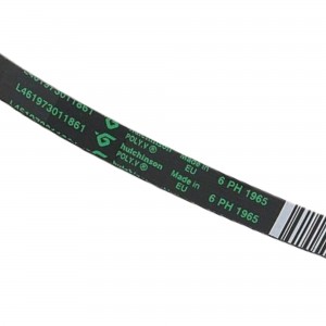 Cinghia Asciugatrice PH 1965 H6 EH80 Whirlpool 481235818186 C00313102 2