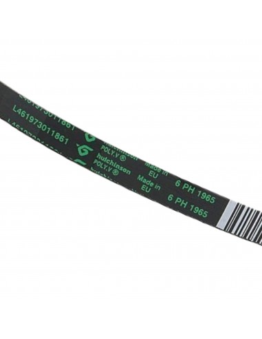 Cinghia Asciugatrice PH 1965 H6 EH80 Whirlpool 481235818186 C00313102
