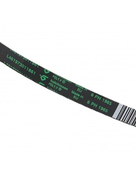 Cinghia Asciugatrice PH 1965 H6 EH80 Whirlpool 481235818186 C00313102
