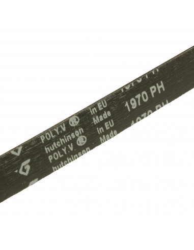 Cinghia Asciugatrice POLY-V 1970 H7 Whirlpool 481235818051